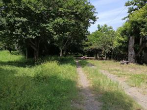 Terreno en venta en El Guasimal, Medellín de Bravo — foto 3 de 17