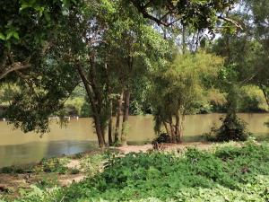 Terreno en venta en El Guasimal, Medellín de Bravo — foto 2 de 17