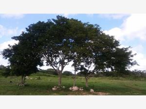 Terreno en venta en Casas del Mar, Benito Juárez — foto 2 de 7