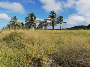 Terreno en venta en Costa del Mar, Benito Juárez — foto 3 de 9