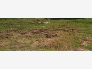 Terreno en venta en Jardines de Tlayacapan, Tlayacapan — foto 3 de 7