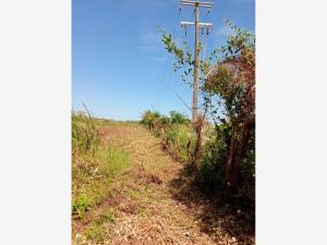 Terreno en venta en Anton Lizardo, Alvarado, Veracruz de Ignacio de la Llave Terreno en venta en Anton Lizardo, Alvarado, Veracruz de Ignacio de la Llave