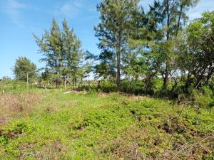 Terreno en venta en Anton Lizardo, Alvarado — foto 3 de 5