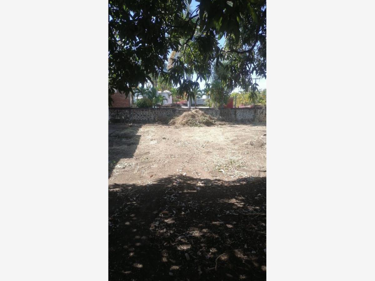 Terreno en venta en Lomas de Cuernavaca, Temixco — foto 1 de 2