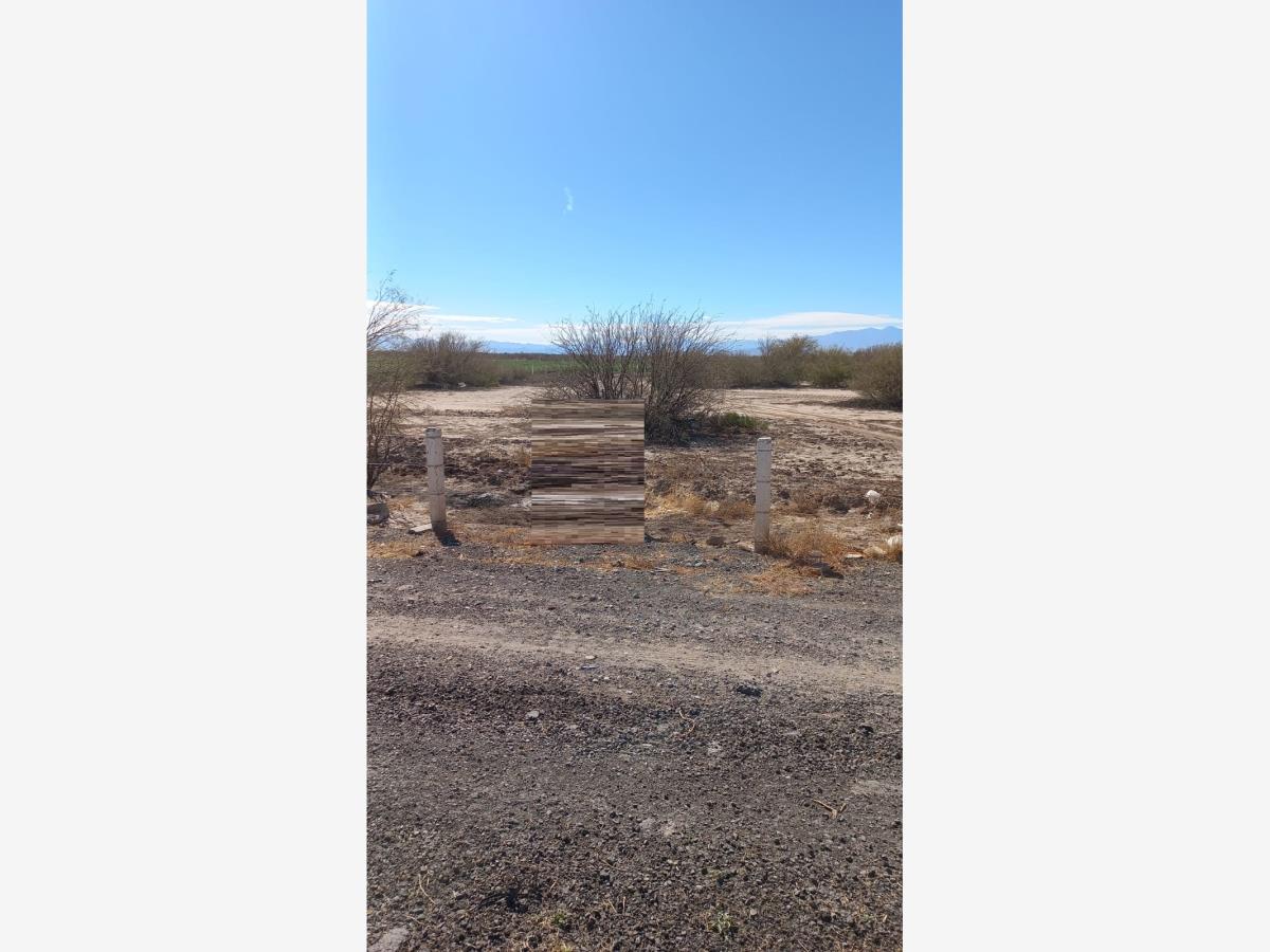 Terreno en renta en Santa Cecilia, Matamoros — foto 1 de 6