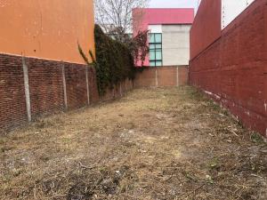 Terreno en venta en El Barreal, San Andrés Cholula — foto 3 de 4