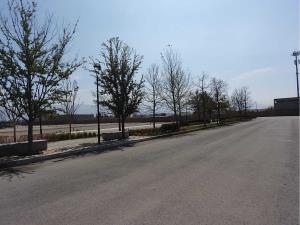 Terreno en venta en Punta Bosque, Saltillo — foto 3 de 11
