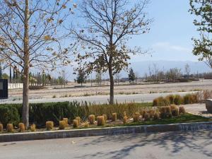 Terreno en venta en Punta Bosque, Saltillo — foto 3 de 11