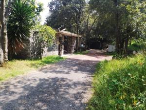 Terreno en venta en San Andres Totoltepec, Tlalpan — foto 2 de 4