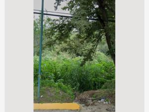 Terreno en venta en Las Cañadas (Bosques de San Isidro), Zapopan — foto 3 de 7