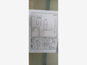 Terreno en venta en Las Flores 1ra. Sección, Paraíso — foto 2 de 2