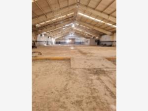 Nave en renta en Filadelfia, Gómez Palacio — foto 2 de 10