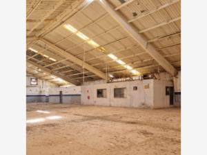 Nave en renta en Filadelfia, Gómez Palacio — foto 3 de 10
