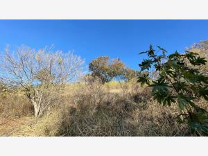 Terreno en venta en Las Cañadas (Bosques de San Isidro), Zapopan — foto 3 de 10