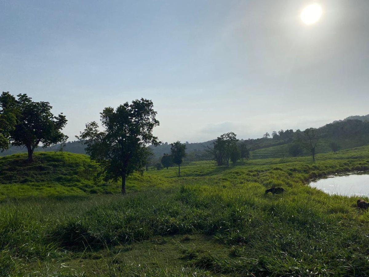 Terreno en venta en Linderos, Venustiano Carranza — foto 1 de 16