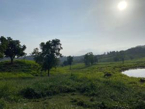 Terreno en venta en Linderos, Venustiano Carranza, Puebla Terreno en venta en Linderos, Venustiano Carranza, Puebla