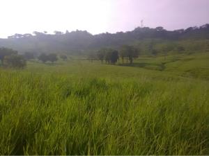 Terreno en venta en Linderos, Venustiano Carranza — foto 3 de 16