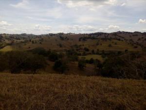 Terreno en venta en Venustiano Carranza, Venustiano Carranza — foto 3 de 7