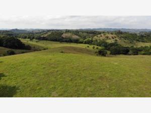 Terreno en venta en Chalahuite, Tuxpan — foto 2 de 17