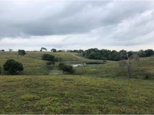 Terreno en venta en Chalahuite, Tuxpan — foto 3 de 17