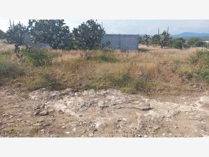 Terreno en venta en El Rodeo, San Juan del Río — foto 2 de 9