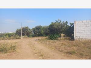 Terreno en venta en El Rodeo, San Juan del Río — foto 3 de 9