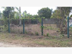 Terreno en venta en Quintin Arauz, Paraíso — foto 3 de 6