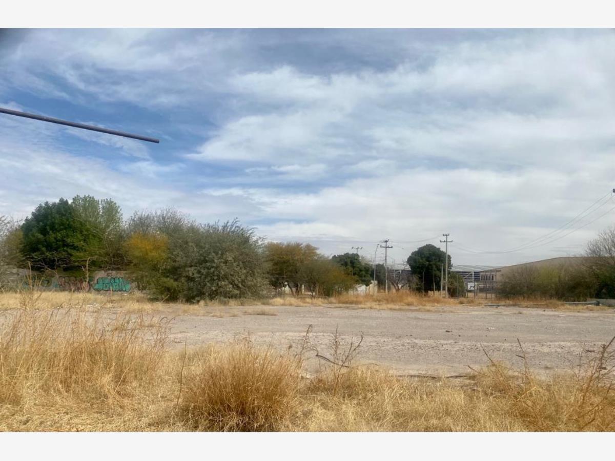 Terreno en Renta en Santa Fe, Torreón, Coahuila de Zaragoza