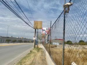 Terreno en renta en Santa Fe, Torreón — foto 3 de 5