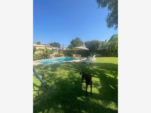 Casa en venta en Burgos, Temixco — foto 2 de 25
