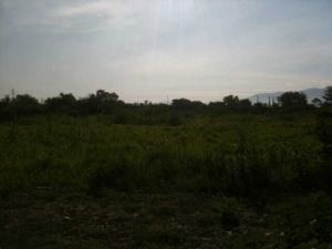 Terreno en venta en El C.B.T.A., Axochiapan — foto 2 de 4