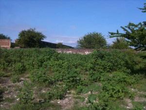 Terreno en venta en El C.B.T.A., Axochiapan — foto 3 de 4