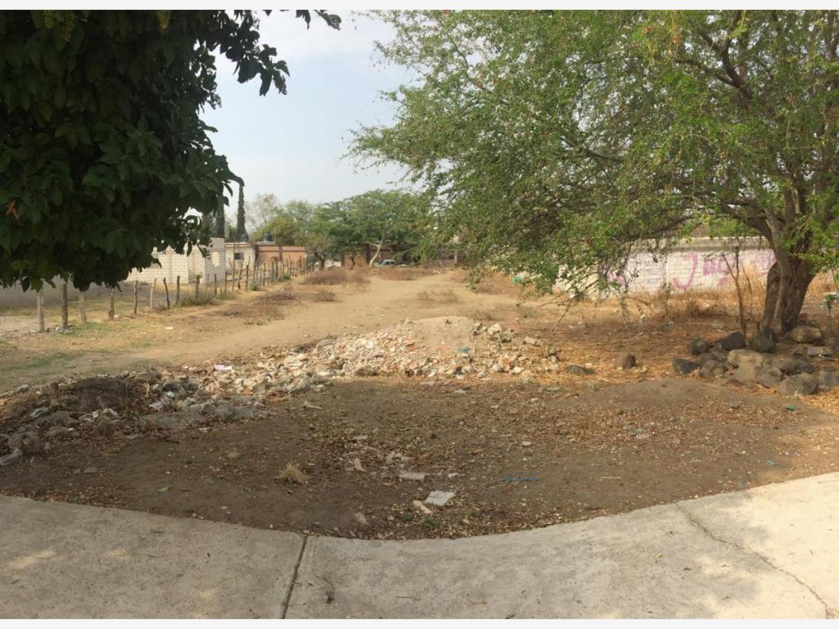 Terreno en venta en Amayuca, Jantetelco — foto 1 de 4