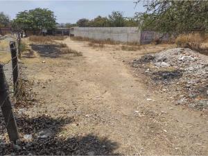 Terreno en venta en Amayuca, Jantetelco — foto 2 de 4