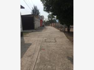 Terreno en venta en Amayuca, Jantetelco — foto 3 de 4