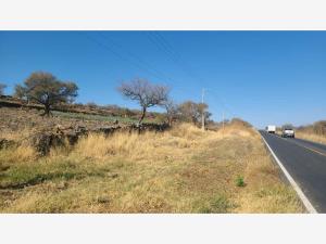 Terreno en venta en Jiquilpan de Juarez Centro, Jiquilpan — foto 2 de 19