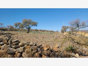 Terreno en venta en Jiquilpan de Juarez Centro, Jiquilpan — foto 3 de 19