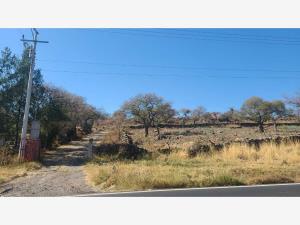 Terreno en venta en Jiquilpan de Juarez Centro, Jiquilpan — foto 2 de 17