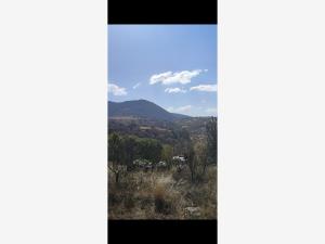 Terreno en venta en Rincón de la Florida, Amealco de Bonfil — foto 2 de 12