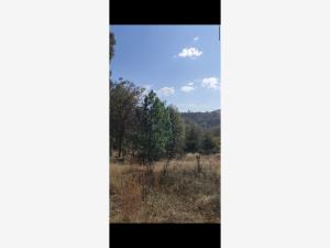 Terreno en venta en Rincón de la Florida, Amealco de Bonfil — foto 3 de 12