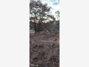 Terreno en venta en Rincón de la Florida, Amealco de Bonfil — foto 2 de 11