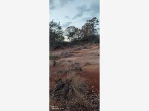 Terreno en venta en Rincón de la Florida, Amealco de Bonfil — foto 3 de 11