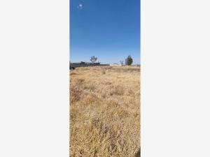 Terreno en venta en La Cofradía, Amealco de Bonfil — foto 2 de 14