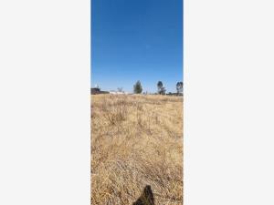 Terreno en venta en La Cofradía, Amealco de Bonfil — foto 3 de 14