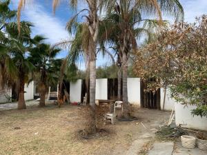 Finca-Rancho en venta en San Mateo, Juárez — foto 2 de 21