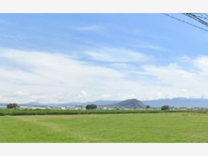 Terreno en venta en San Martin Cuautlalpan, Chalco — foto 2 de 2