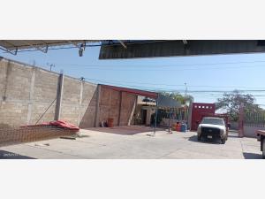 Bodega en renta en Alpuyeca, Xochitepec — foto 3 de 5
