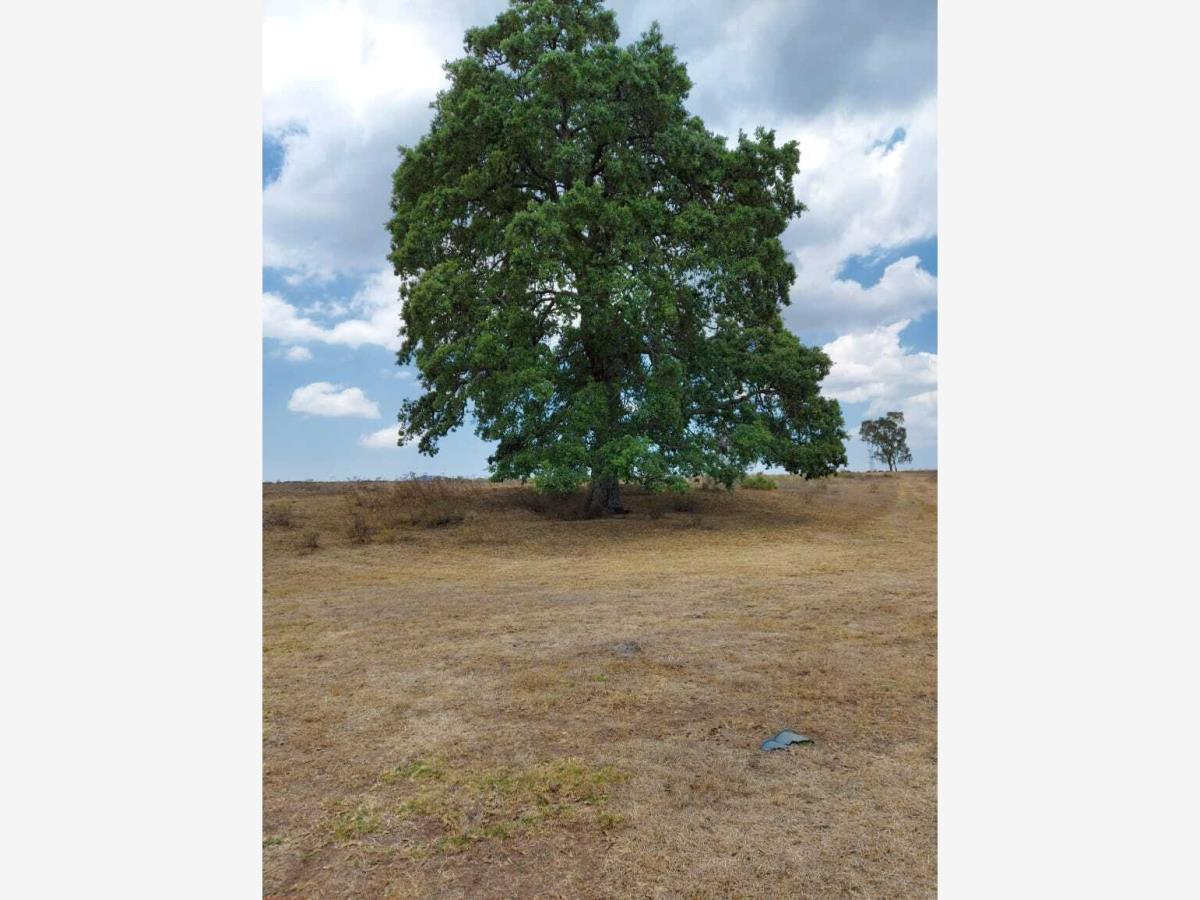 Terreno en venta en Tecolapan, Jilotepec — foto 1 de 8