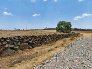 Terreno en venta en Tecolapan, Jilotepec — foto 3 de 8
