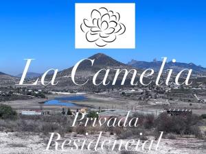 Terreno en venta en San Miguel Tornacuxtla, San Agustín Tlaxiaca — foto 2 de 7